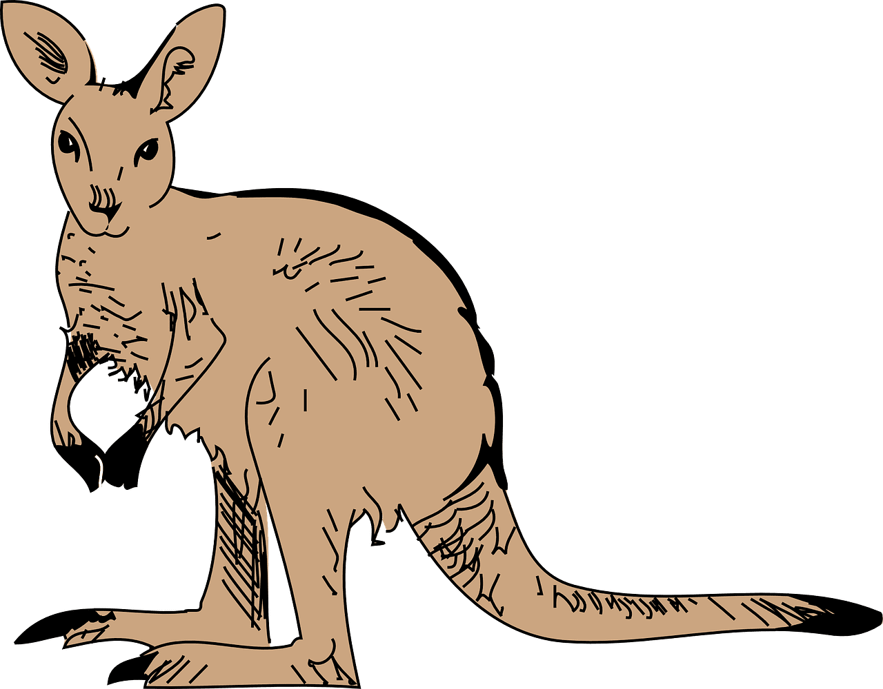 Kangaroo pouch long vector graphic clipart