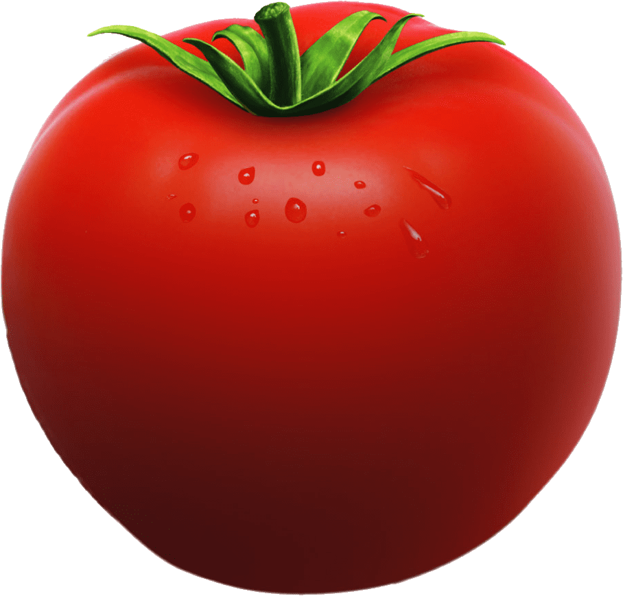 Red tomato es image for clipart