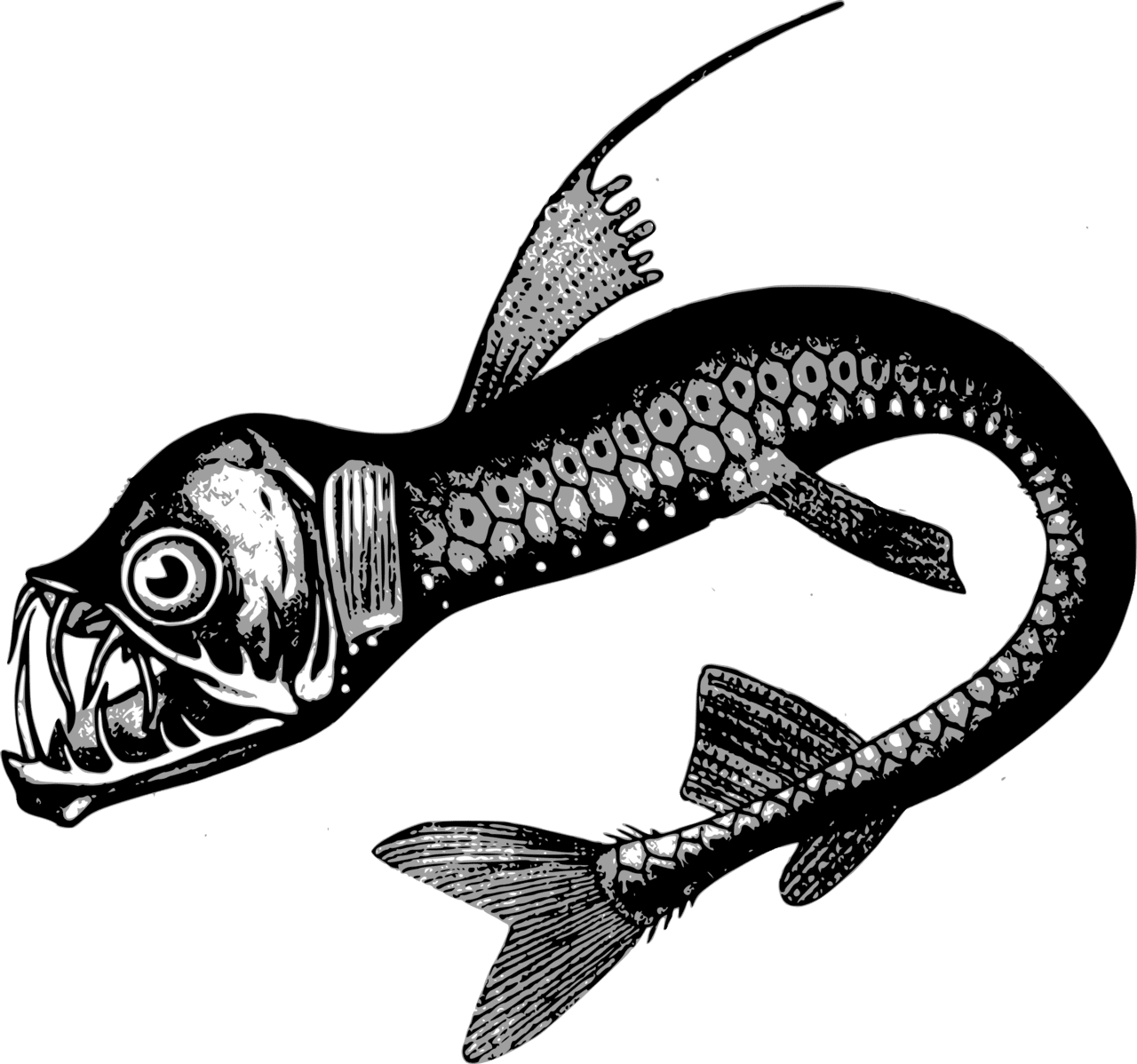 Fish black and white monster clipart image