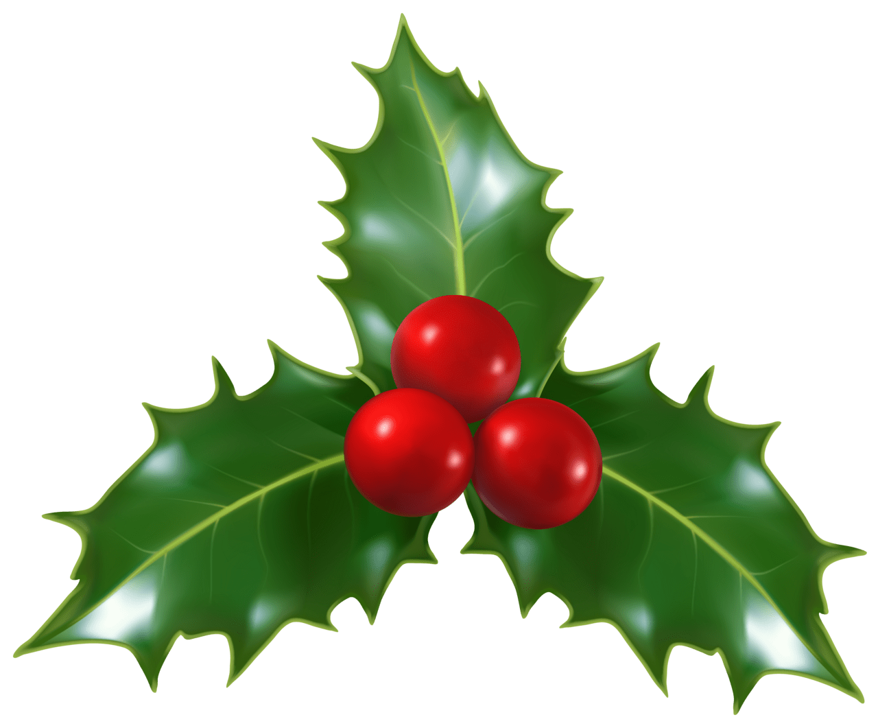 Christmas holly mistletoe clipart image 2