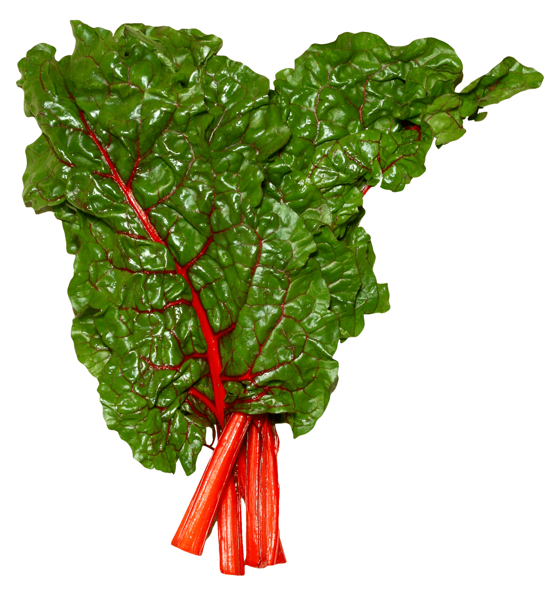 Vegetable fresh swiss chard clipart picture