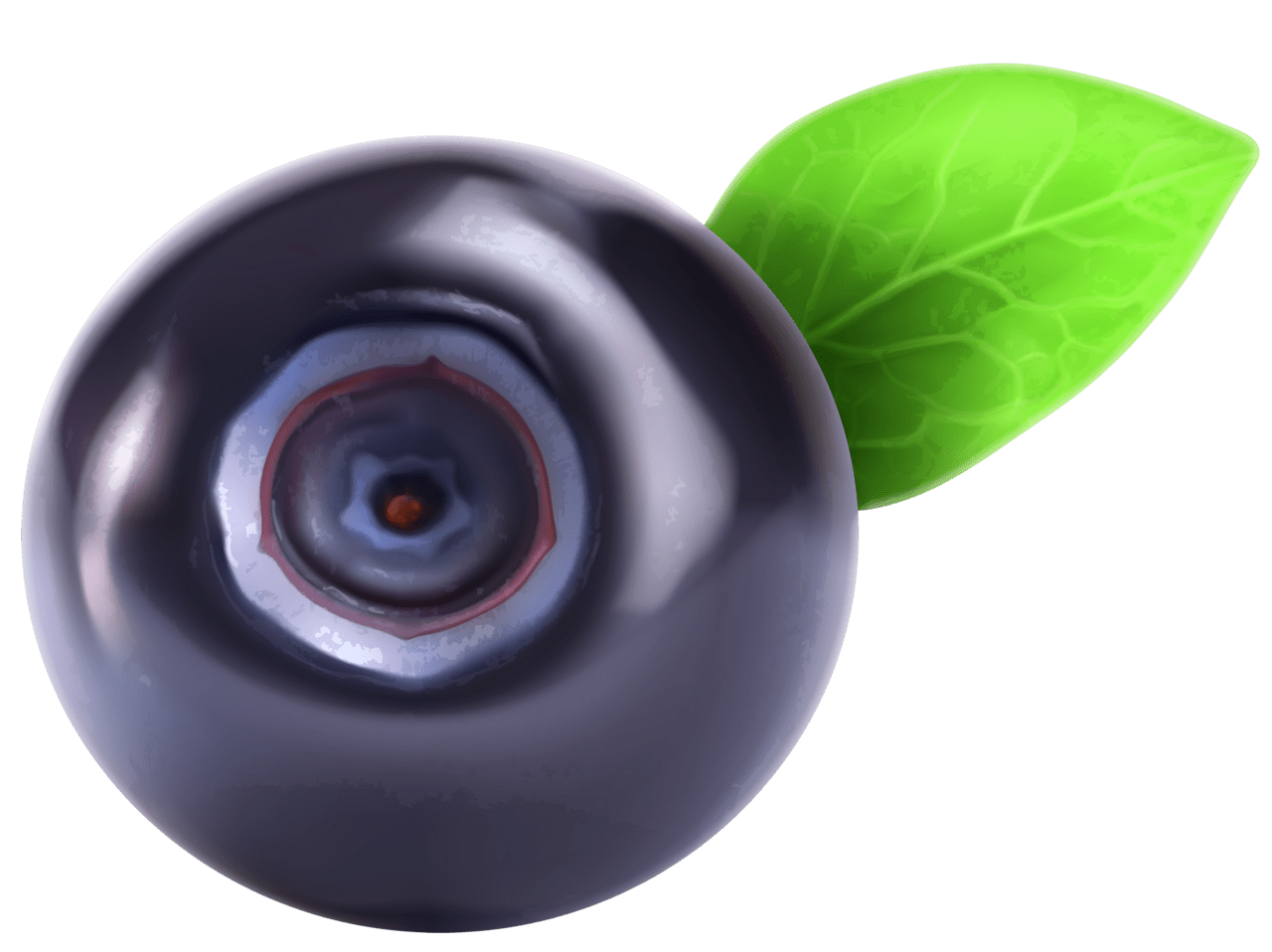 Blueberry blueberries image size clipart 2