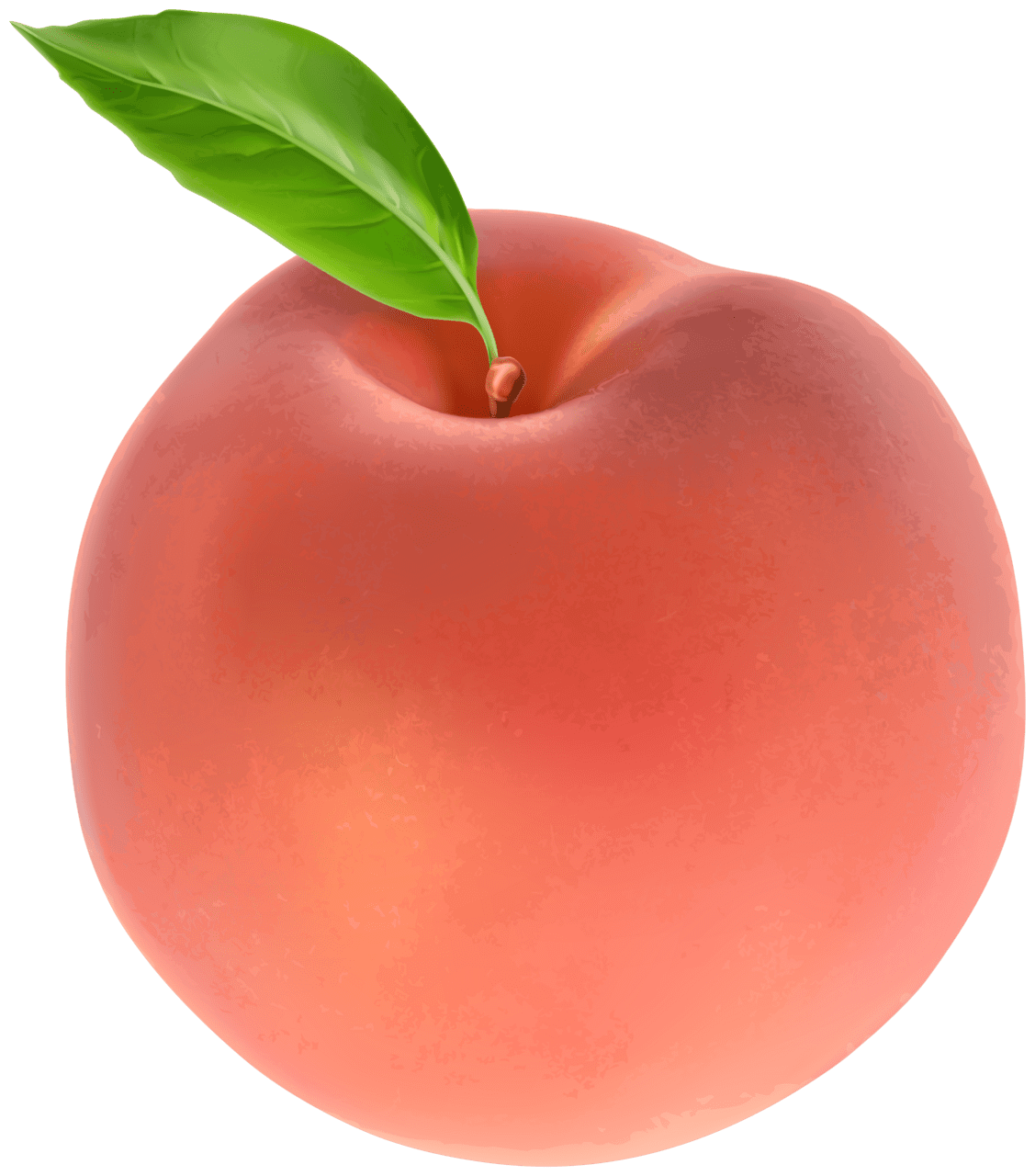 Peach image high quality images and clipart