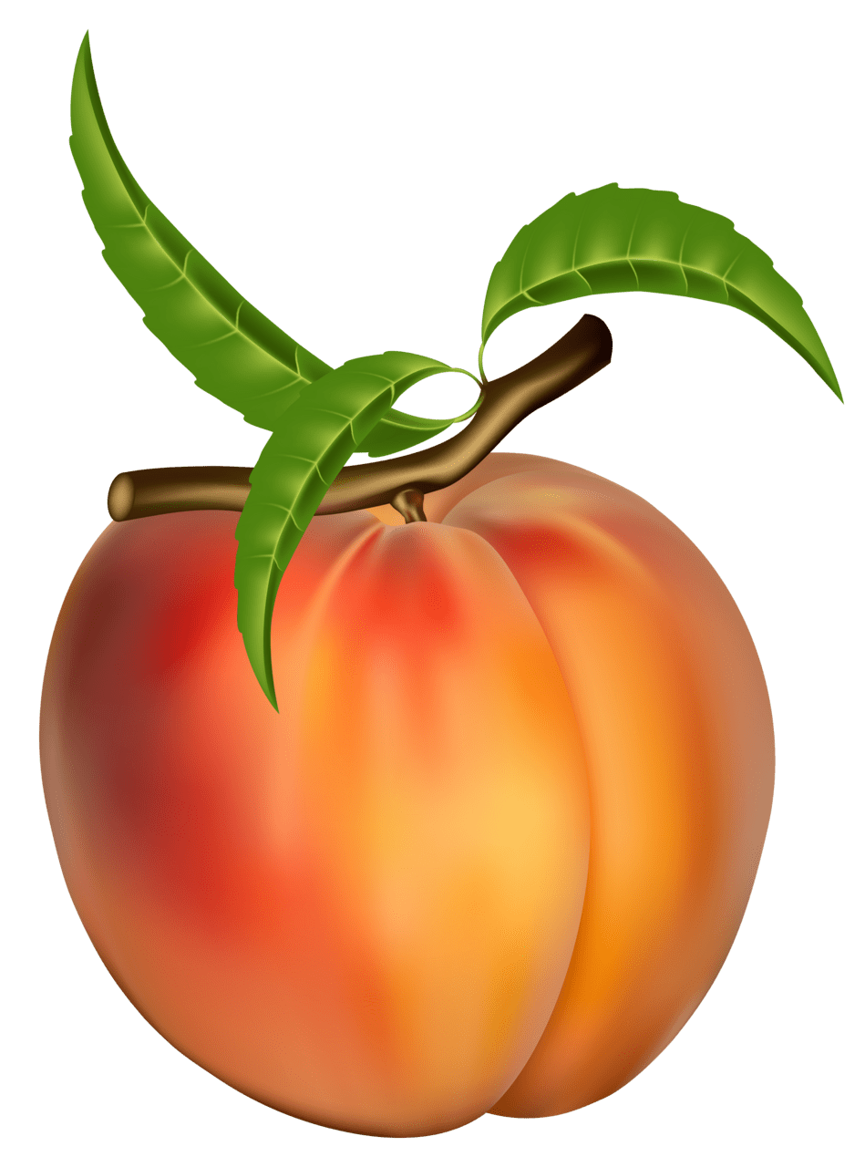 Peach images clipart 2