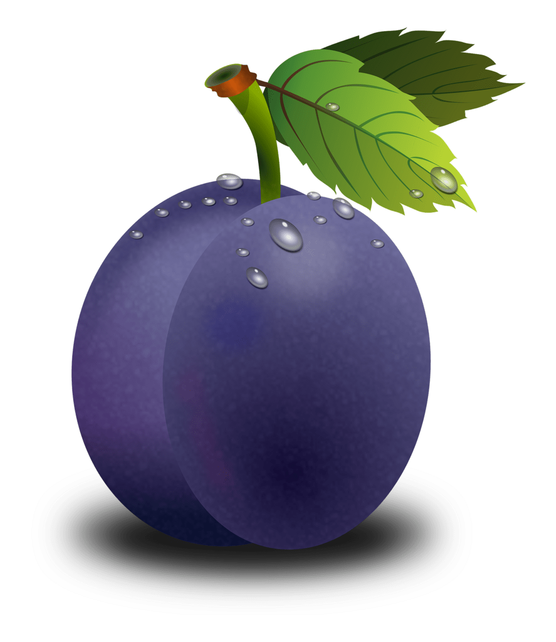 Blueberry pin page clipart clip art