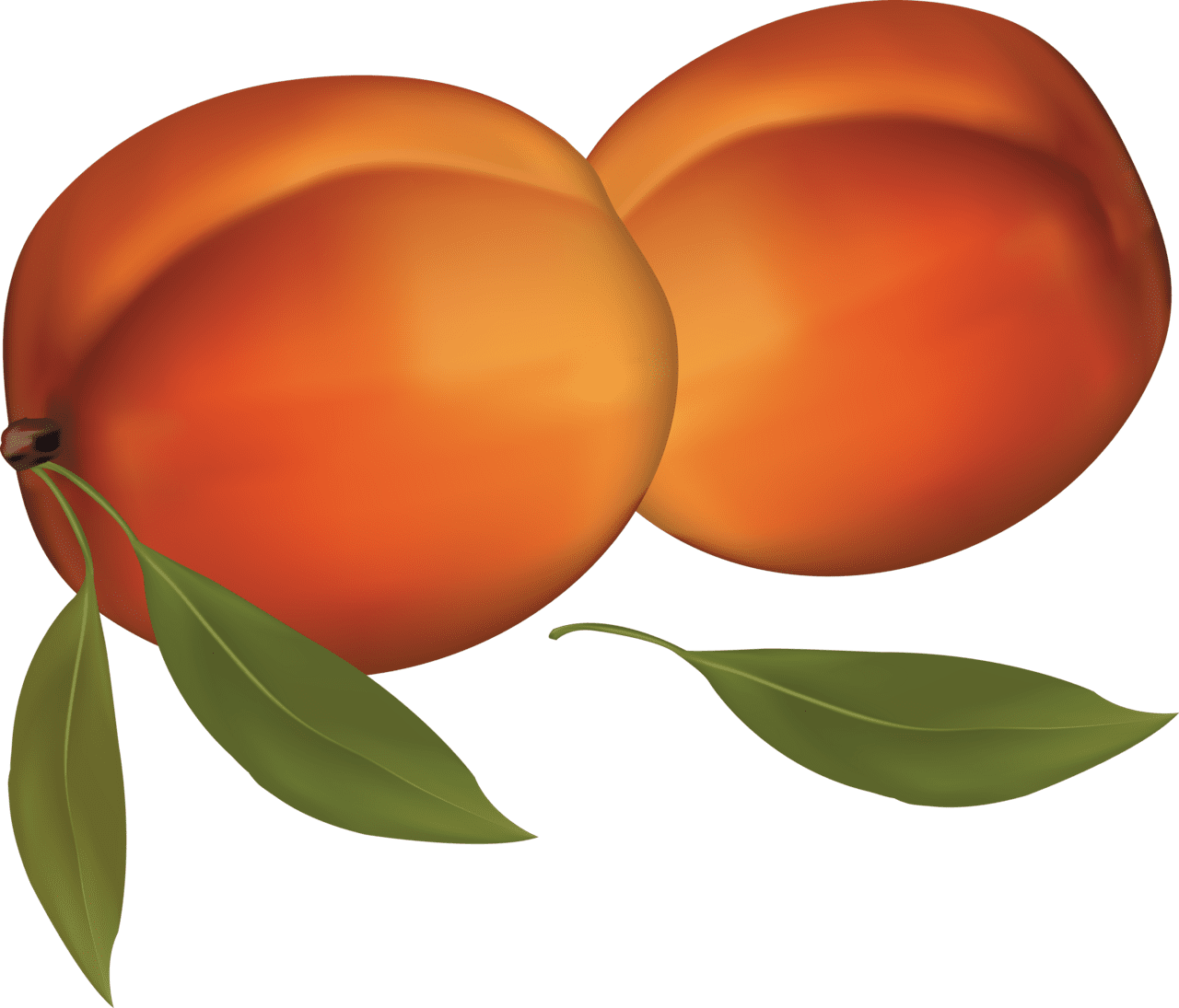 Peach clipart image with no background