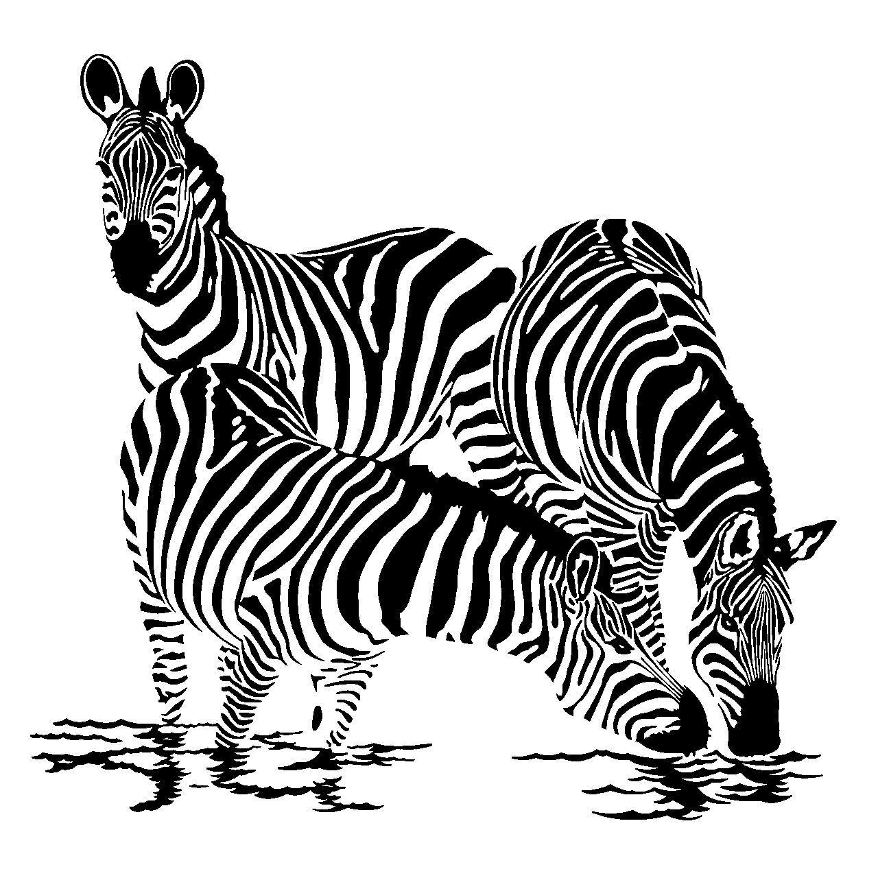 Ilustraci zebra canvas africa clipart transparent