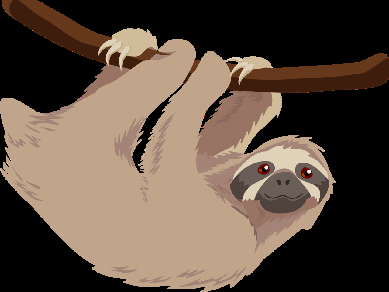 Hanging sloth cartoon clipart logo