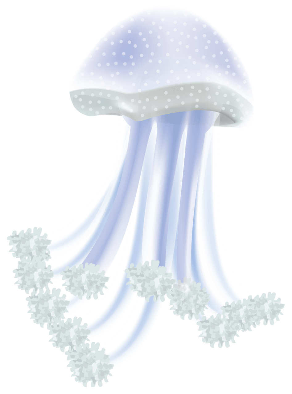 Jellyfish clipart image 2