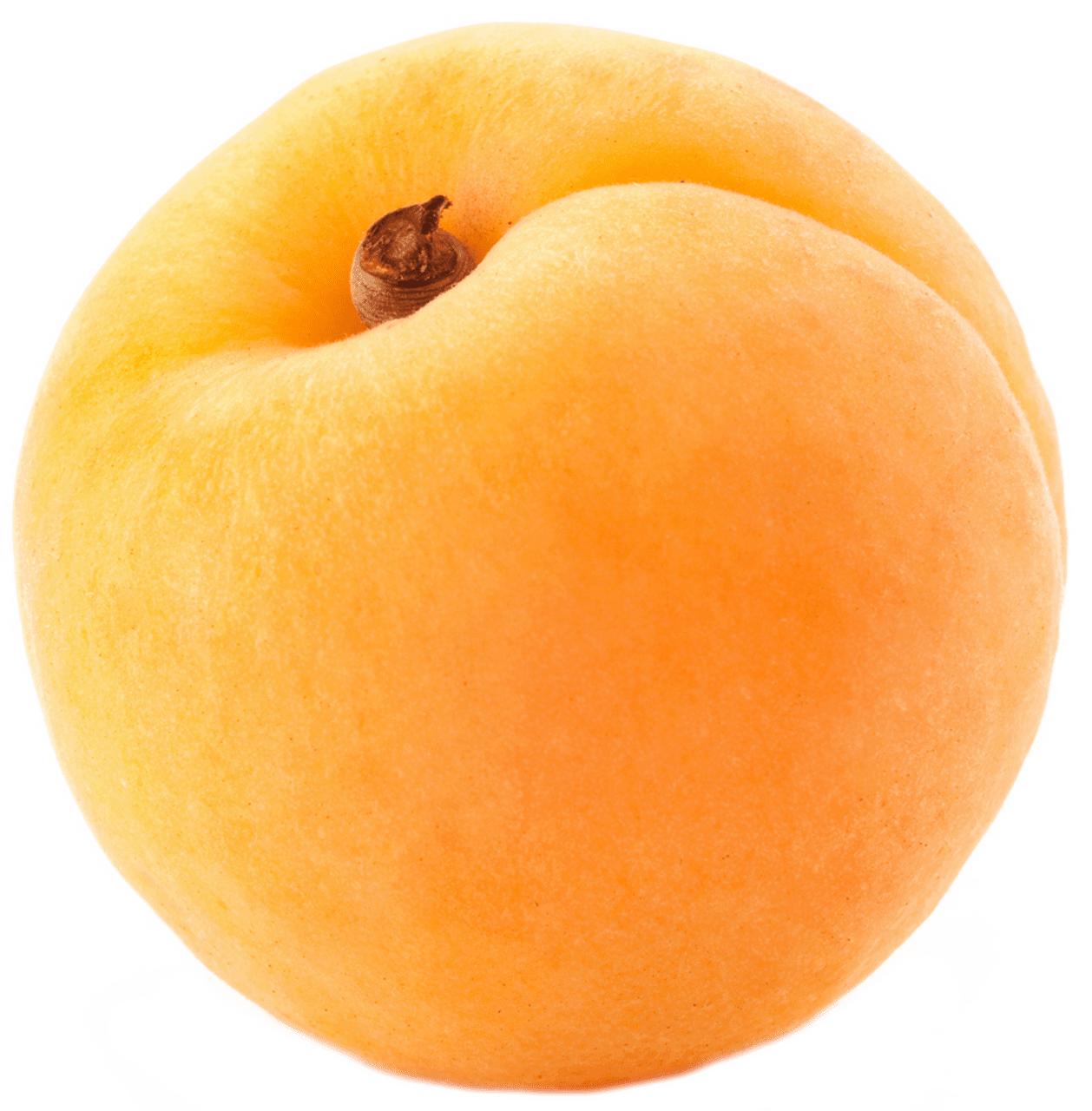 Peach large apricot clipart picture