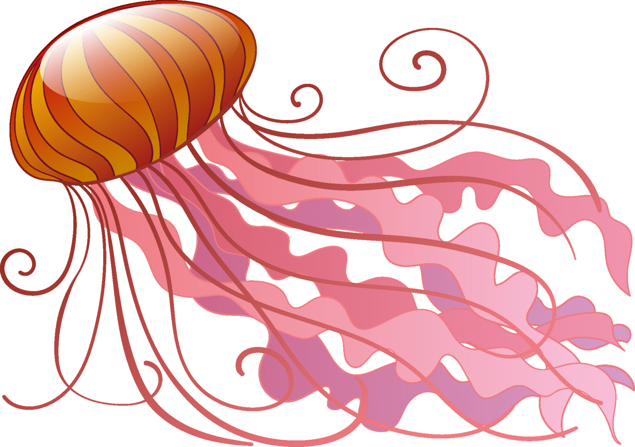 Jellyfish clipart images