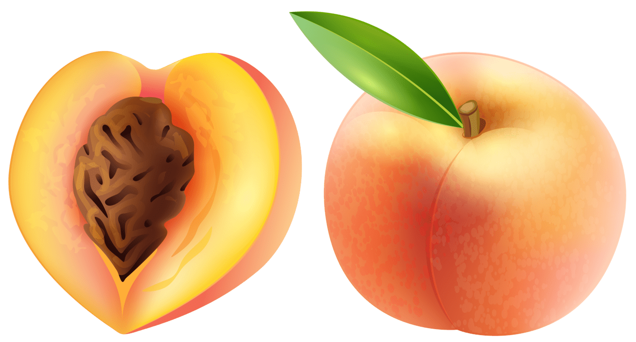 Peach clipart image high quality images and