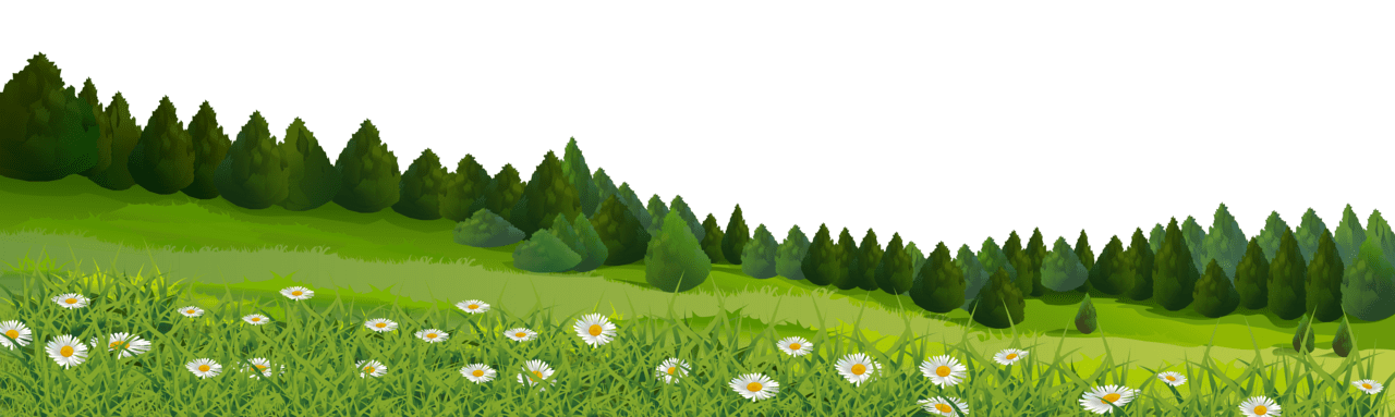 Forest trees and grass clipart image