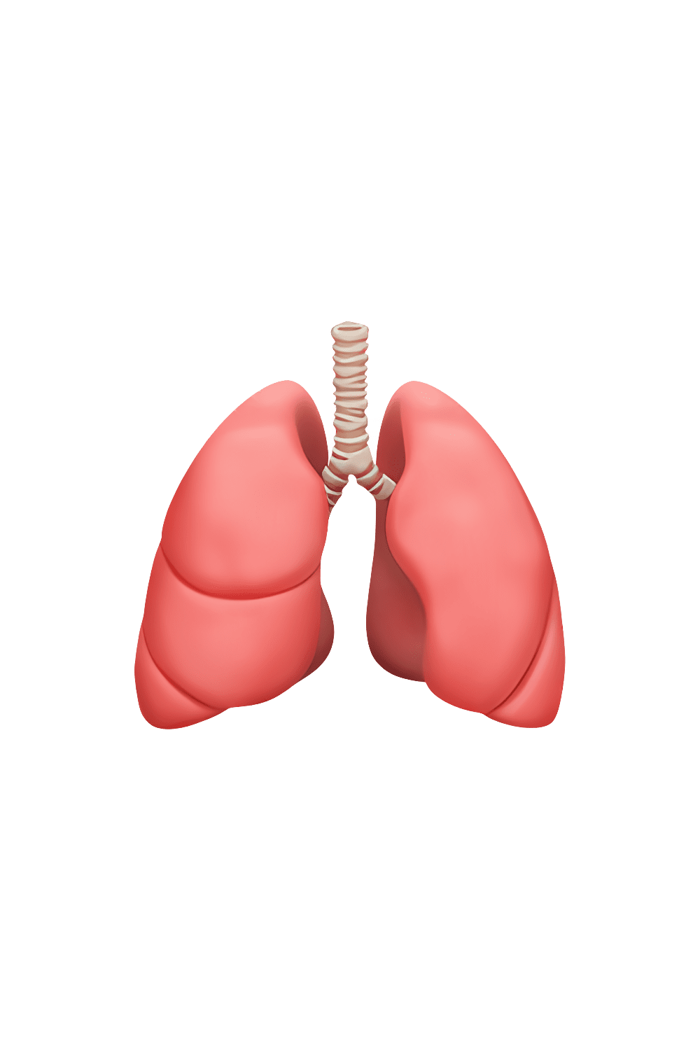 Lungs emoji clipart photo