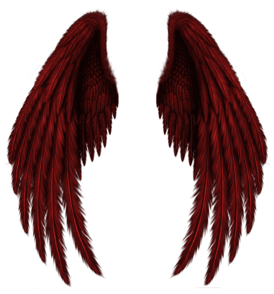 Angel wings clipart picture