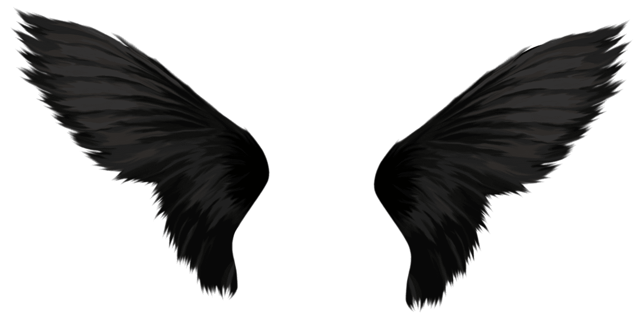 Angel wings black clipart vector