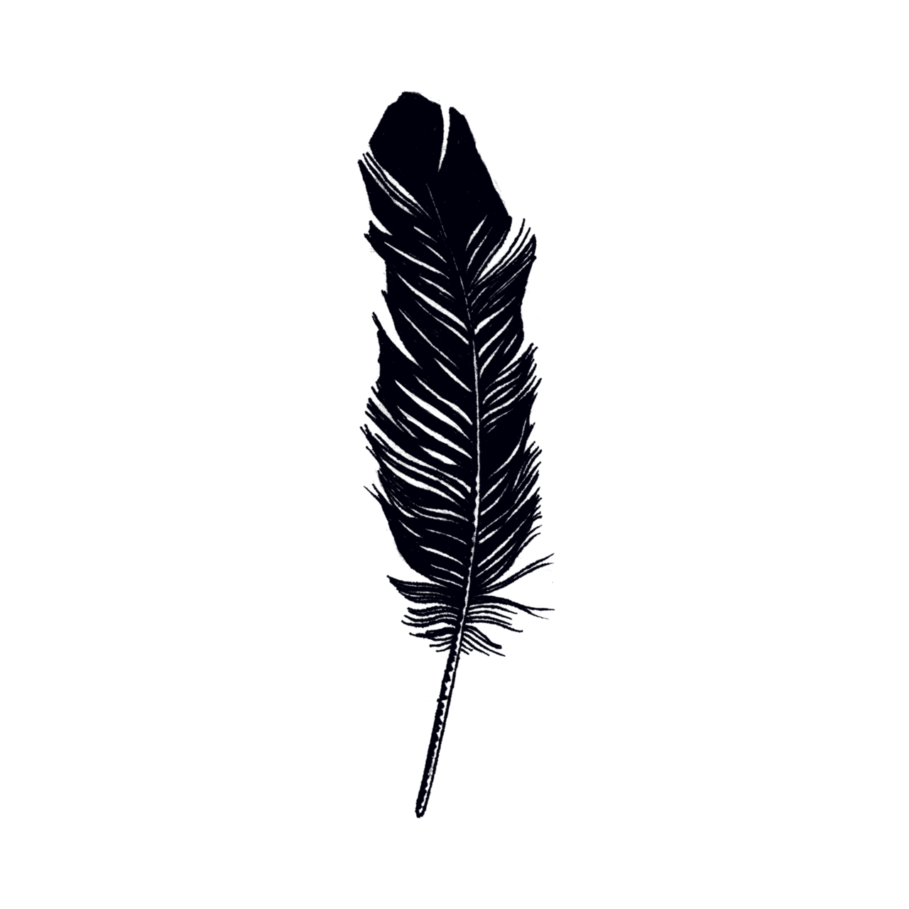 Feather tattoo clipart photo