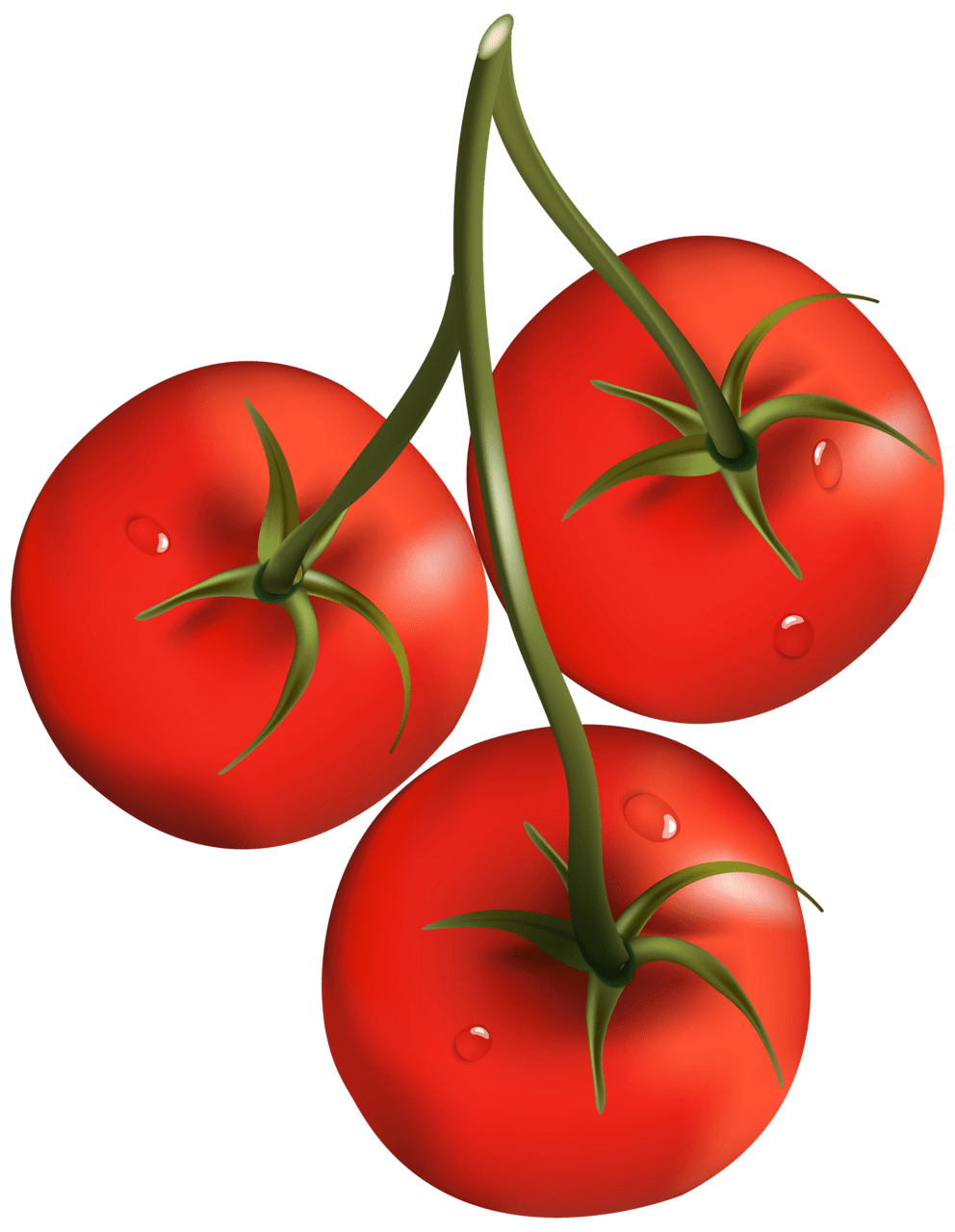 Vegetable red tomatoes image for clipart