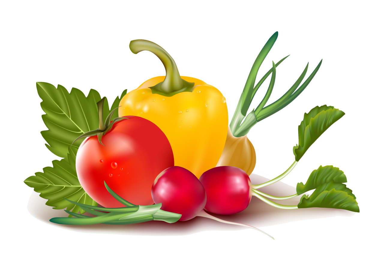 Tomato gem se vegetable clipart logo