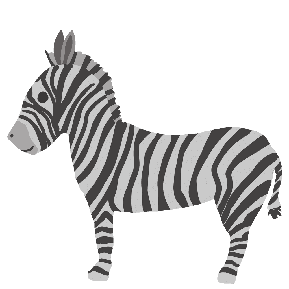 Zebra clipart picture