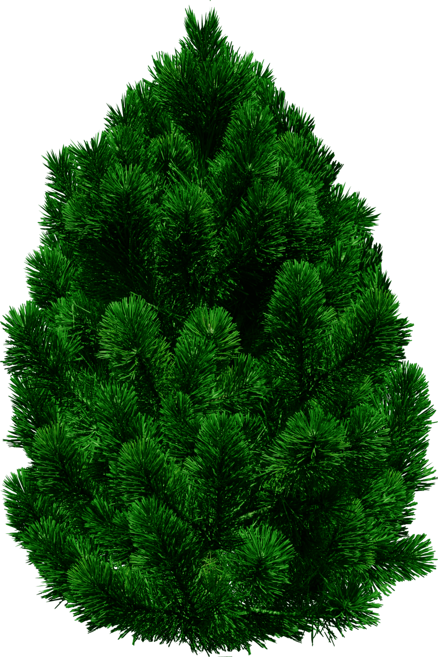 Pine tree pin page clipart photo 2