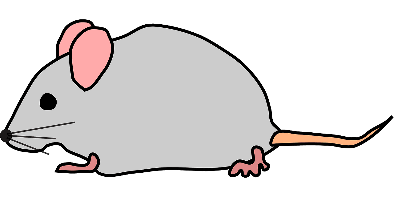 Mice vector art graphics clipart