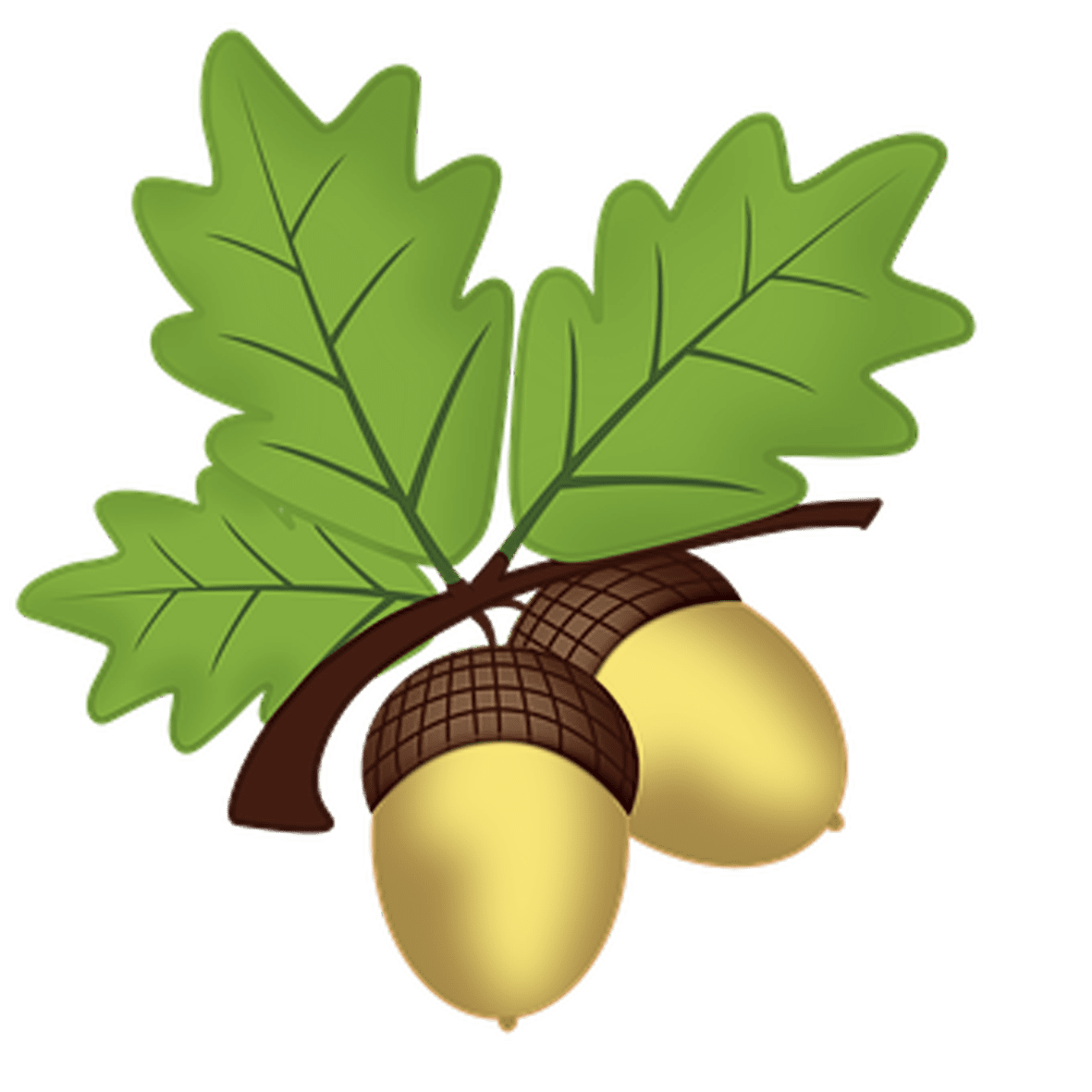 Book squirrel acorn awards clipart free