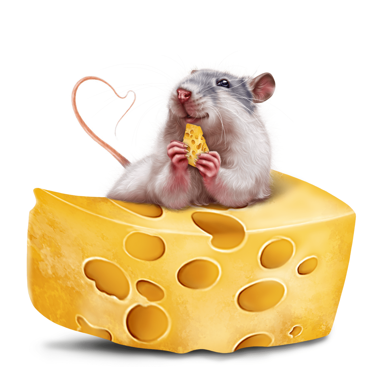 Rat pin page clipart free 2