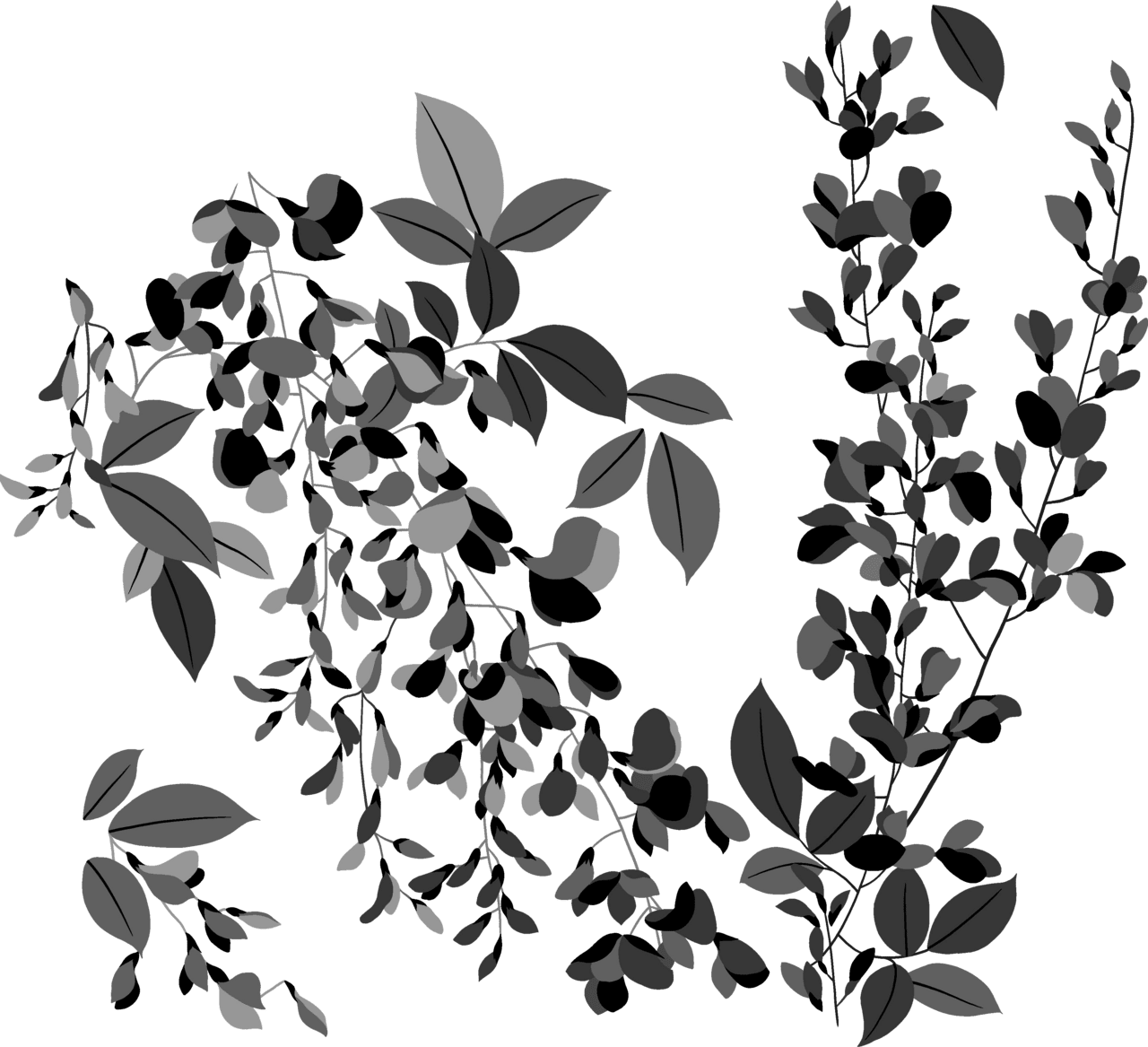 Floral black and white page clipart vector