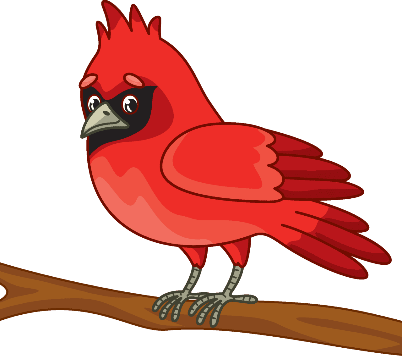 Cardinal vector clipart images 2