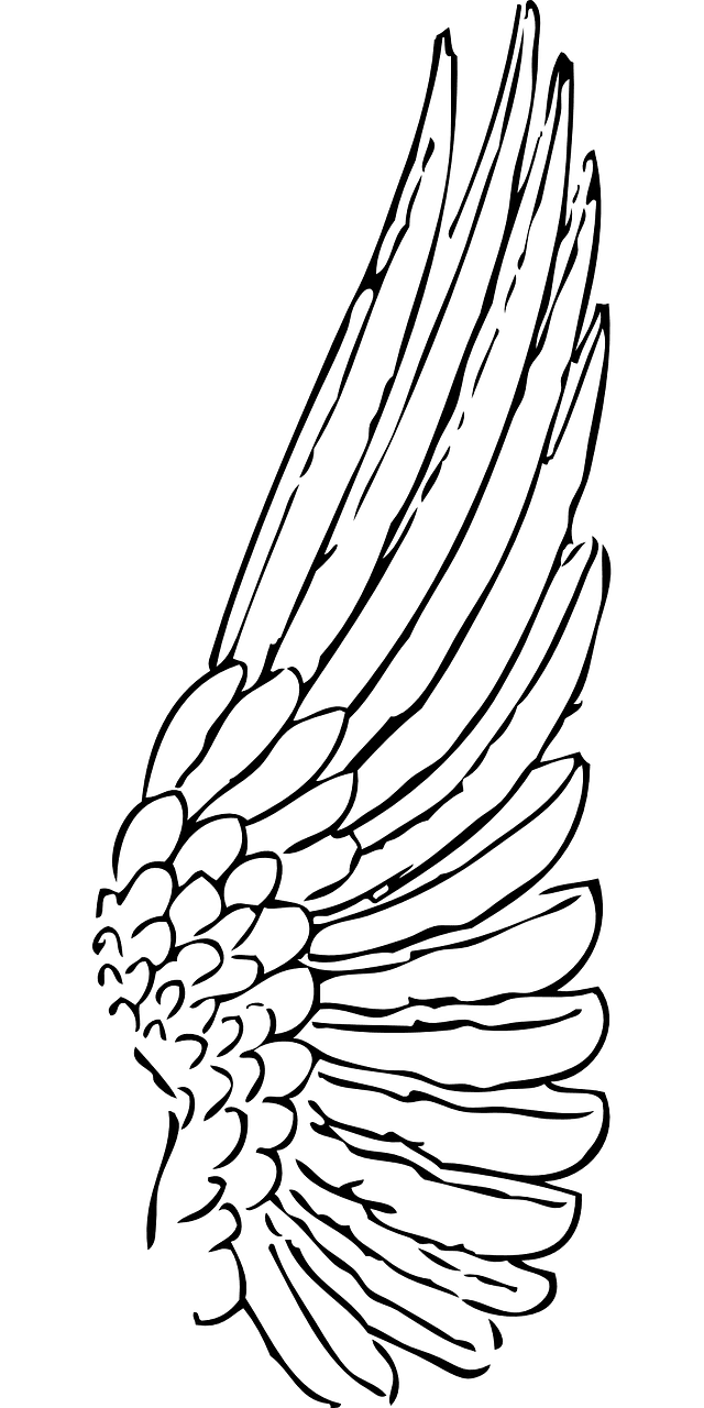 Angel wings bird vector graphic clipart