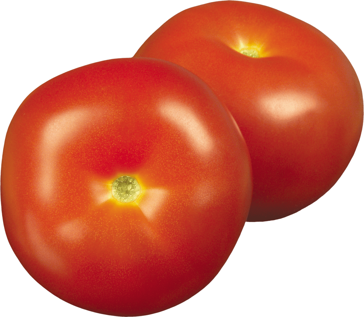 Tomato es clipart image