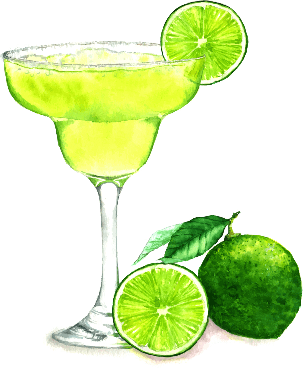 Vector for background margarita clipart image with no