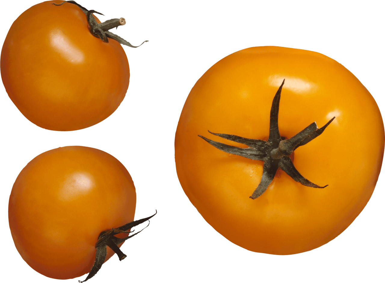 Red tomato es image for clipart 6