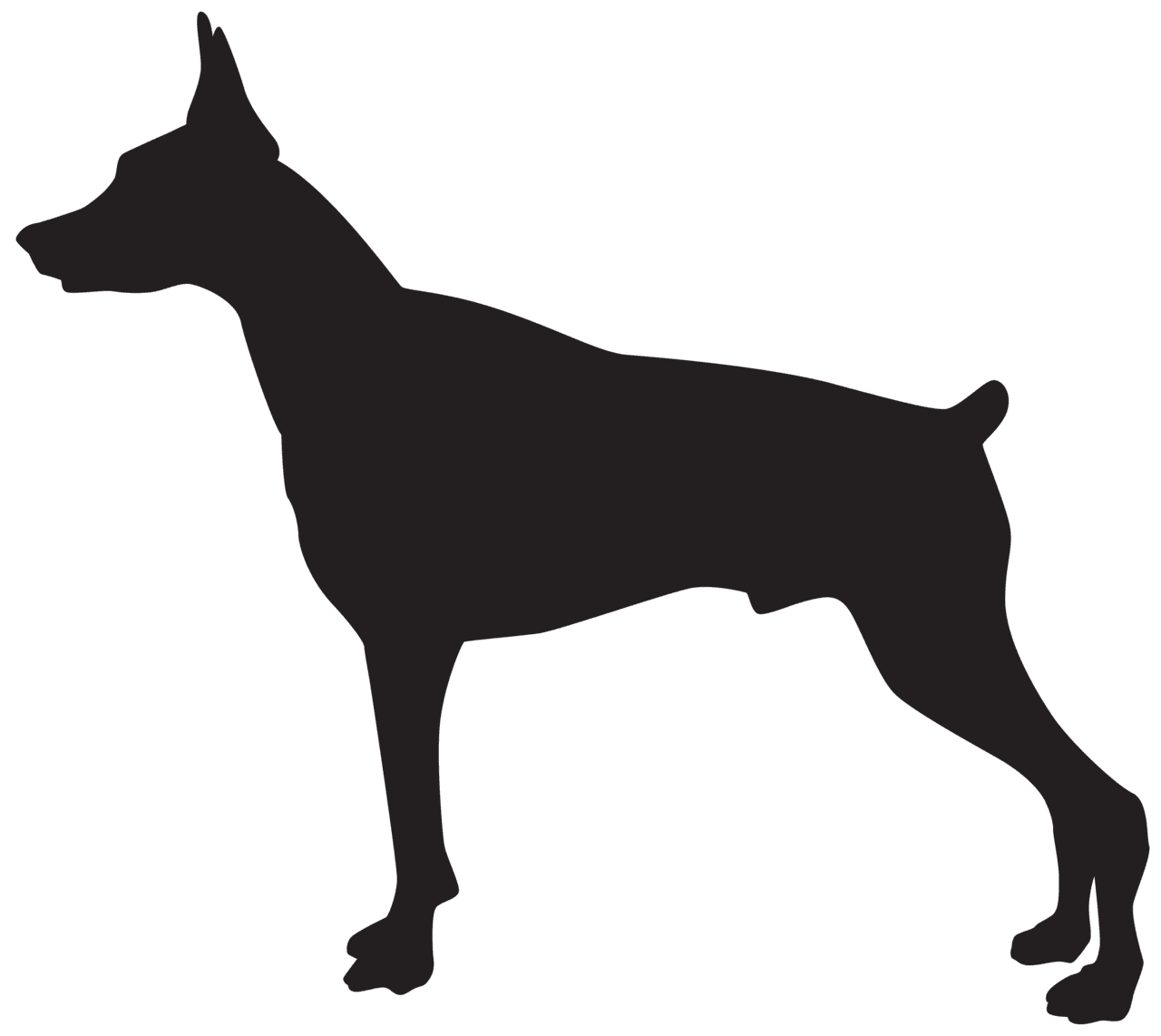 Dog black and white doberman silhouette clipart image