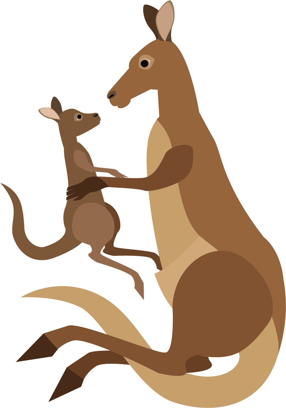 Kangaroo cartoon macropodidae canguru desenho clipart transparent