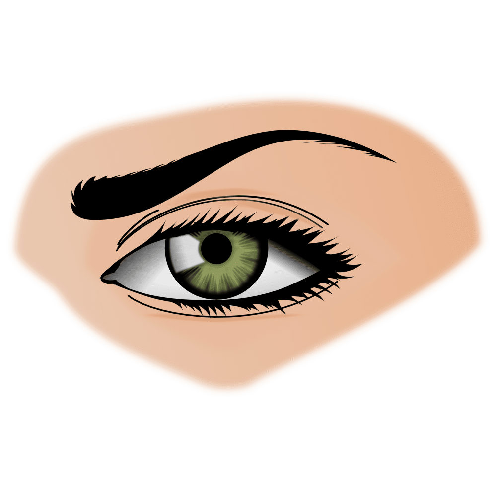 Eyeball eyes clipart clip art