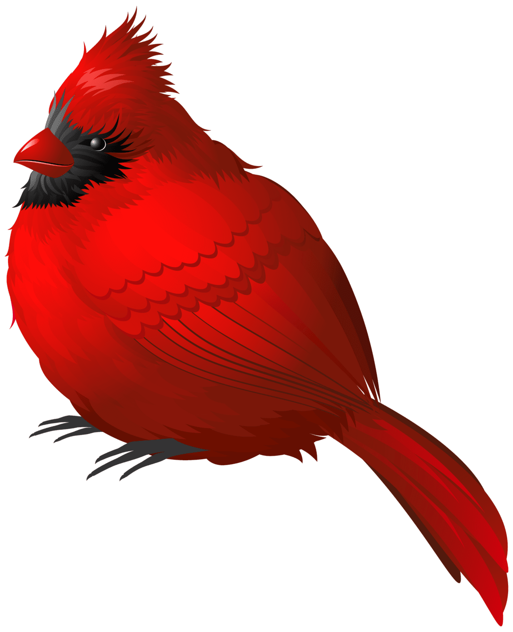 Cardinal red winter bird clipart image yopriceville high for