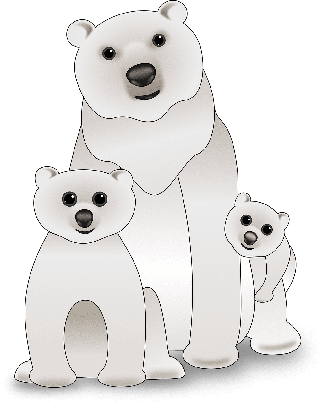 Polar bear animal image clipart