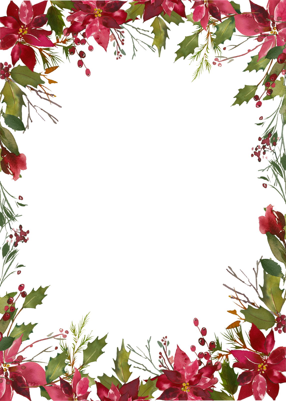 Poinsettia clipart photo