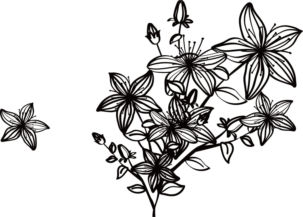 Floral black and white flower images clipart