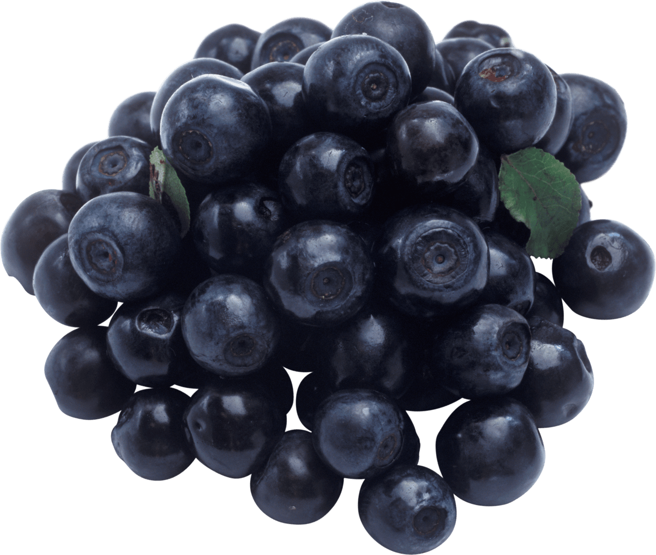 Blueberry clipart background