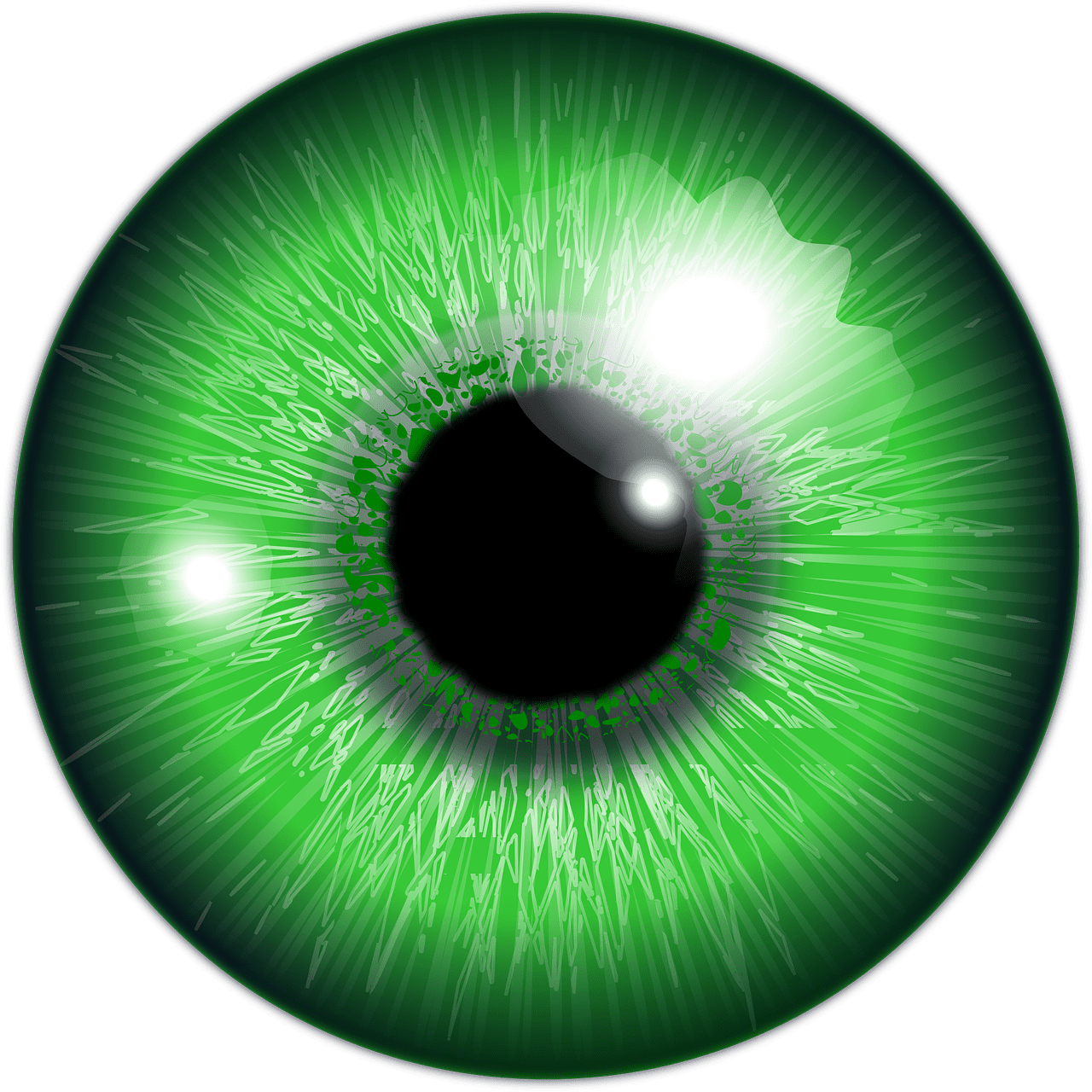 Eyeball eye green iris vector graphic clipart