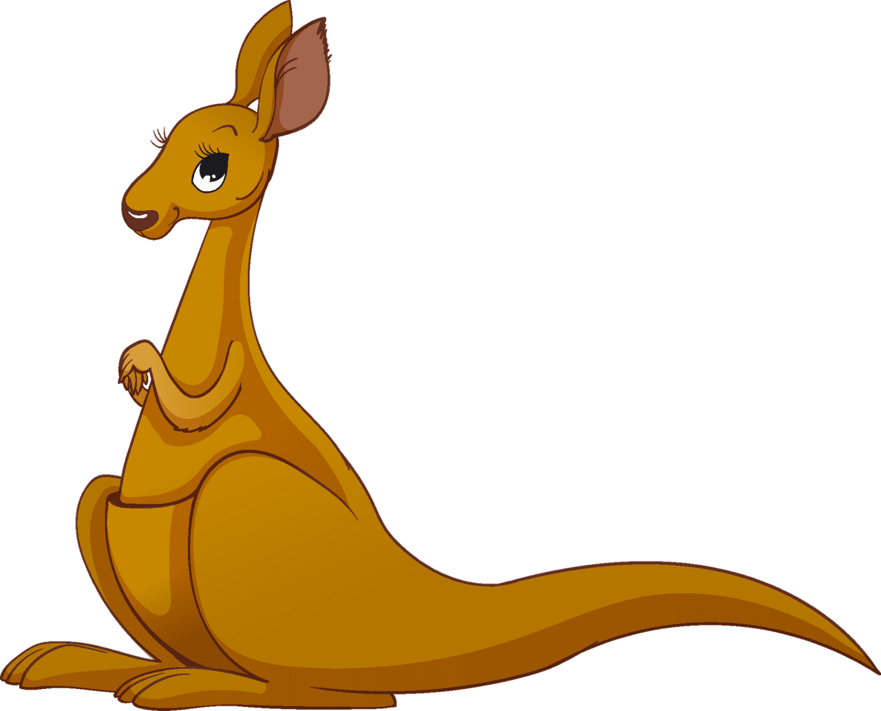 Kangaroo clipart images