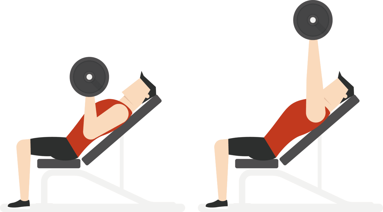 Exercise bench clipart gym vector image with no background