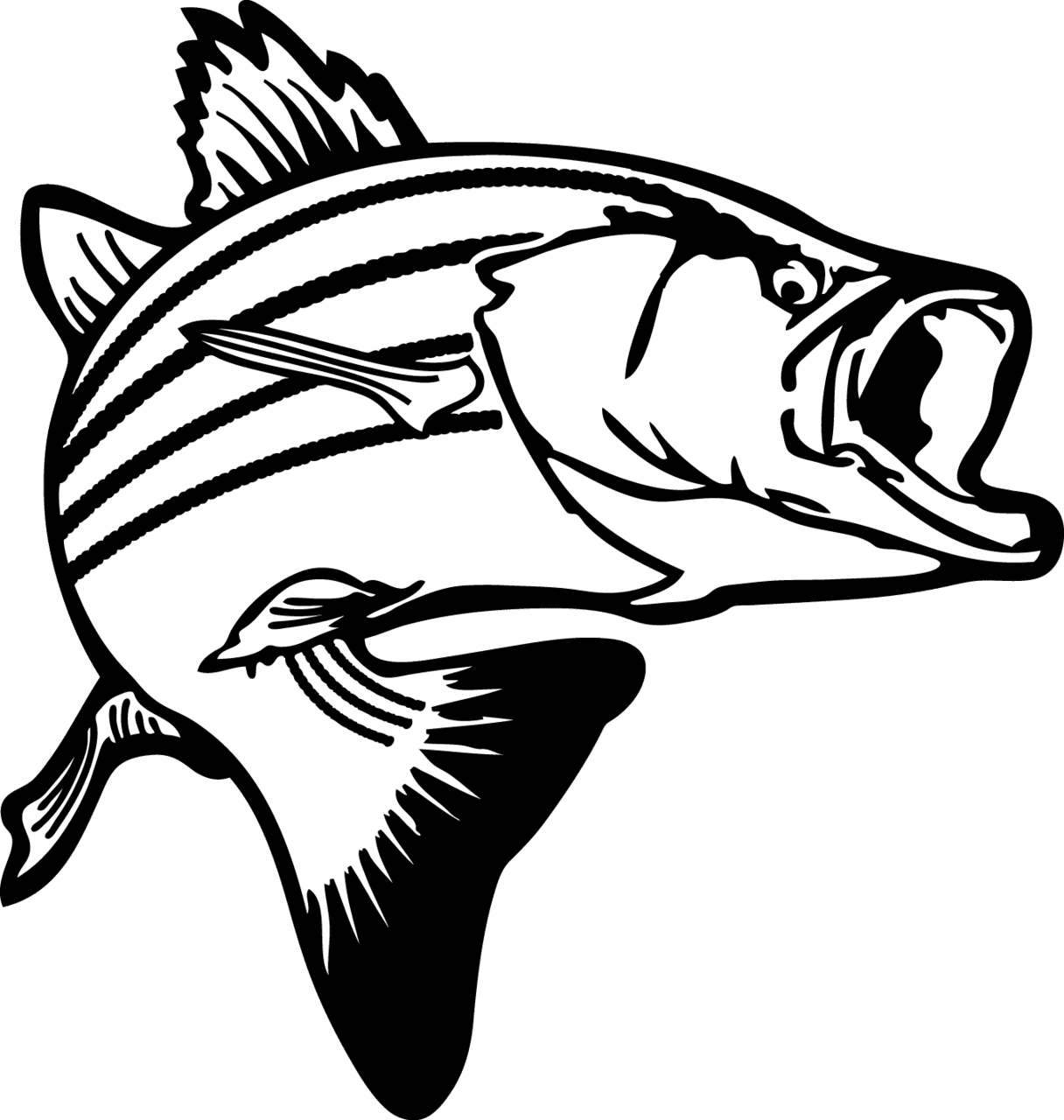 Mouth jumping bass fish clipart panda images outline stencil