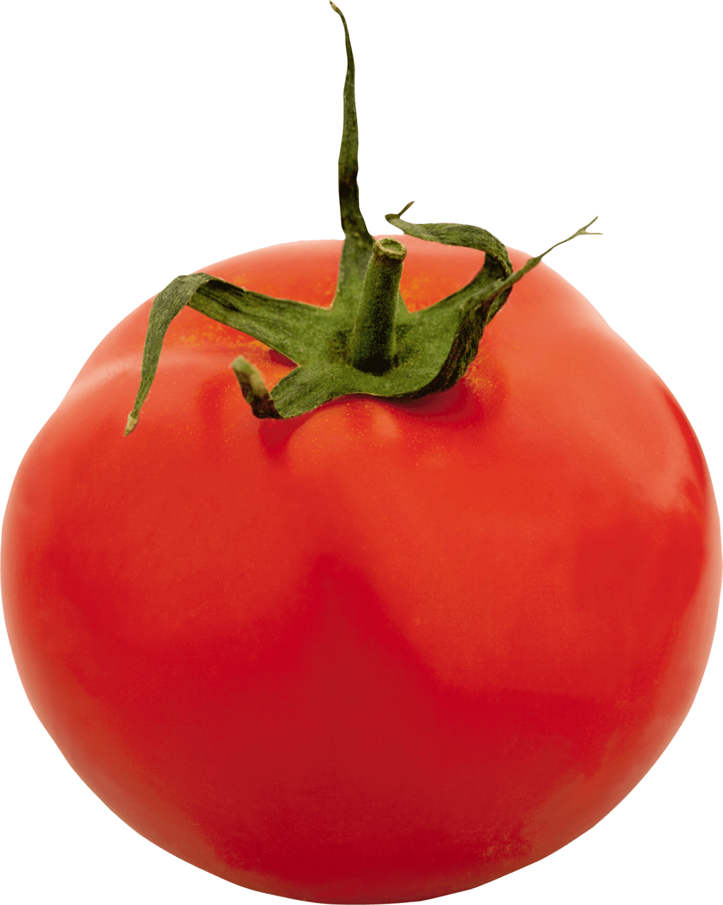 Red tomato es image for clipart 4