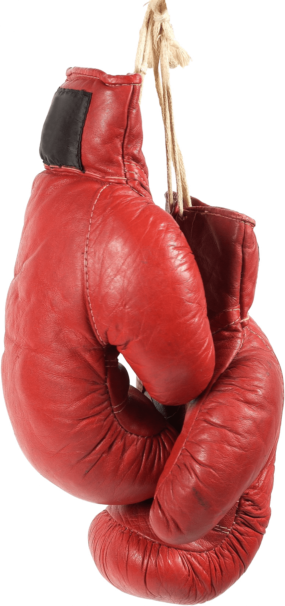 Boxing gloves high quality image clipart