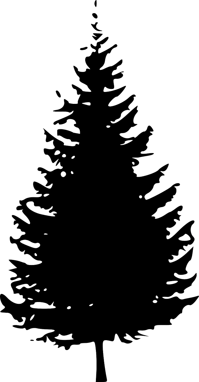 Pine tree silhouette christmas vector graphic clipart