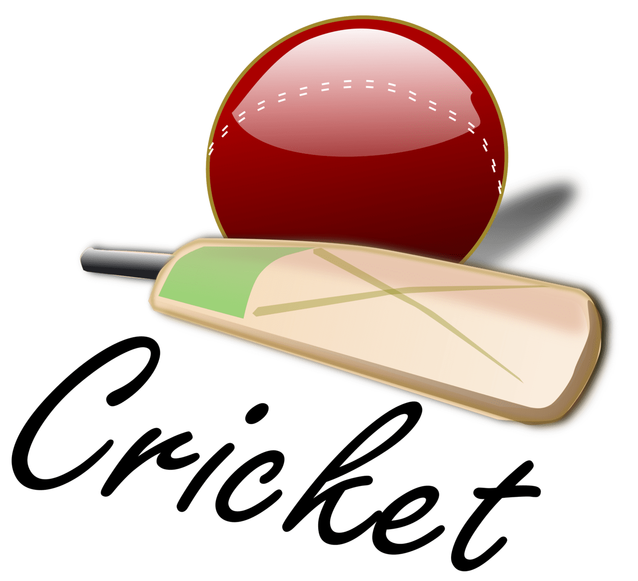 Bälle cricket clipart vector